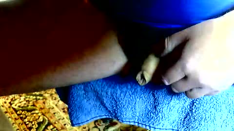 Dammerl online show from 04-24-26, 11:34