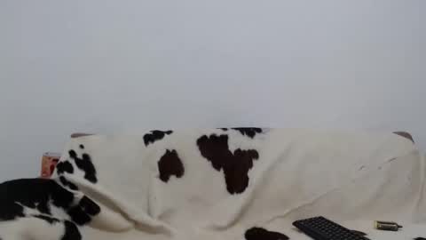 dan_jonson15 online show from 11-26-25, 06:31