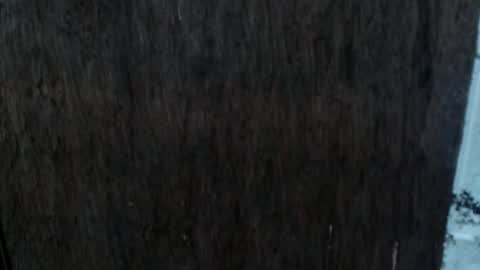 Snapshot of dangerouscock69_nica chatting on 10-02-25, 08:54 Nica online show from 10-02-25, 08:54