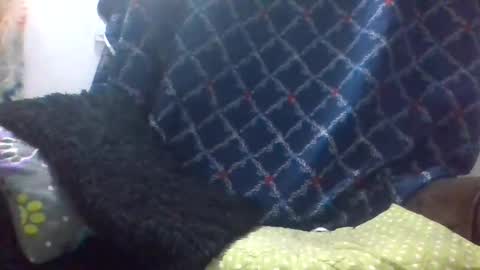 dani9821569006 online show from 03-29-26, 08:03