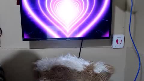 Danica online show from 05-15-26, 11:45