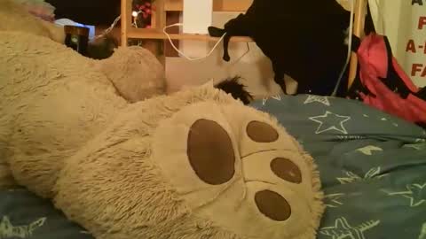 DANIELA online show from 03-17-26, 02:42