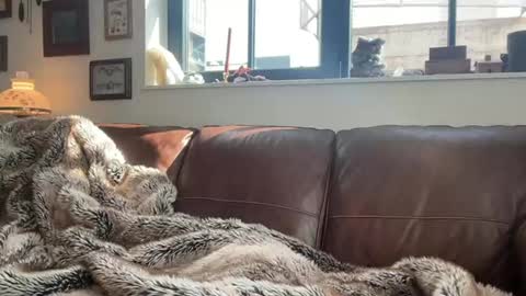 Snapshot of danielbishopxxx chatting on 03-01-26, 08:00 Daniel Bishop Mason online show from 03-01-26, 08:00