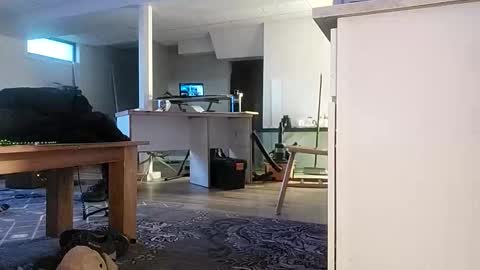 danimal5000 online show from 11-17-25, 03:07