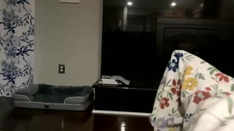 dannyboy621 online show from 10-17-25, 11:24