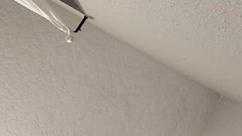 Snapshot of dano9696 chatting on 02-23-26, 07:28 dano9696 online show from 02-23-26, 07:28