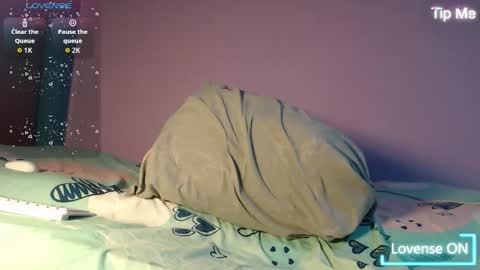 dante_bear online show from 11-27-25, 02:24