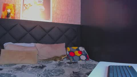 Dany online show from 11-11-25, 05:35