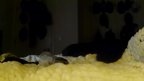 Betty and Robert Play time online show from 01-13-26, 06:08