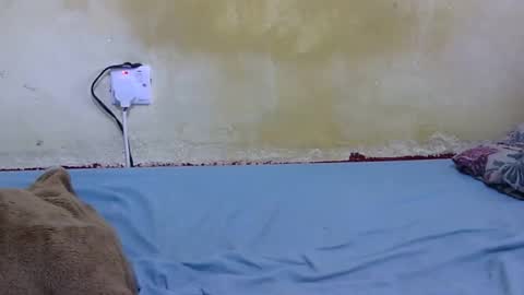 dark_princess1 online show from 02-13-26, 09:05