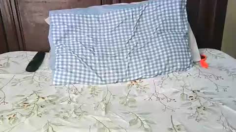 darkskinebony online show from 02-07-26, 03:05