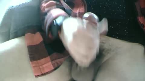 Dartrok online show from 02-17-25, 12:59