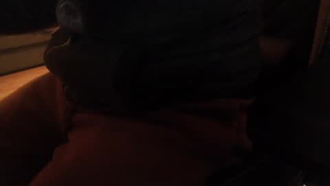 Snapshot of davdao3 chatting on 12-20-24, 10:38 davdao3 online show from 12-20-24, 10:38