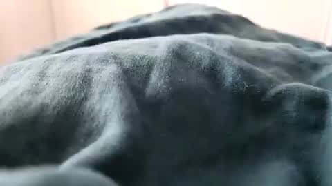 Snapshot of davdao3 chatting on 02-16-25, 01:27 davdao3 online show from 02-16-25, 01:27