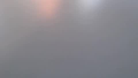 davdao3 online show from 03-19-26, 07:01