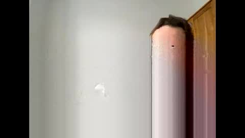 davepil29 online show from 12-21-25, 10:44