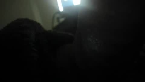 david089613 online show from 01-13-26, 07:08