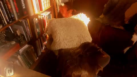 Snapshot of davidbo_no1 chatting on 01-15-25, 11:10 David online show from 01-15-25, 11:10