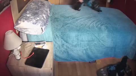 Hugo online show from 02-20-25, 11:09