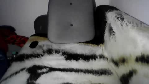 David online show from 05-19-26, 01:56