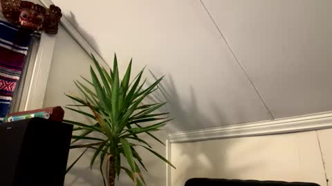 Snapshot of dayblue chatting on 03-02-26, 02:58 dayblue online show from 03-02-26, 02:58