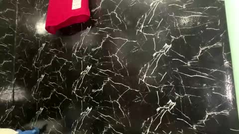 May online show from 04-12-26, 03:50