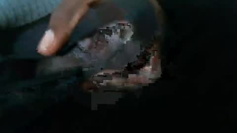 dbizzlenyc online show from 02-01-25, 09:19