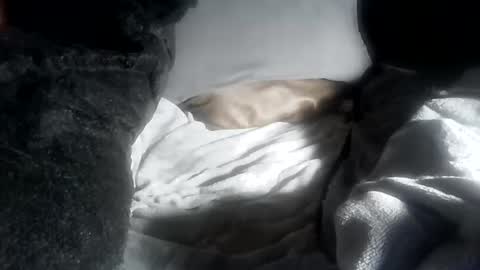 ddick0303 online show from 04-12-26, 05:40