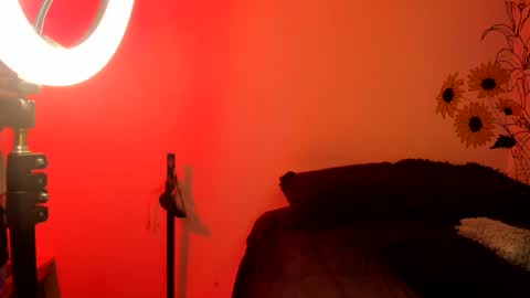 venus  adam online show from 12-04-24, 02:31