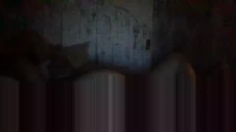 deepdiveme online show from 04-15-26, 04:08