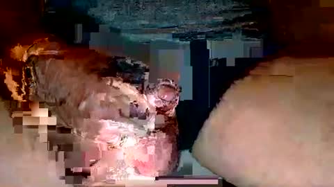 Snapshot of deepdiver3366 chatting on 12-02-25, 06:03 Dive Deep online show from 12-02-25, 06:03