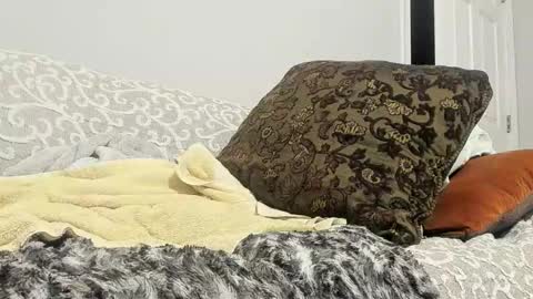 Deez Nutz online show from 02-24-25, 05:33