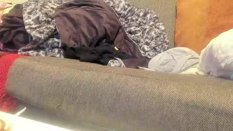 Deez Nutz online show from 09-09-25, 01:38