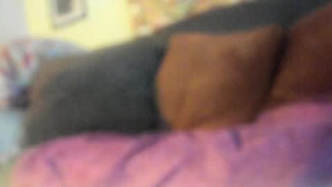 Snapshot of deeznutz343 chatting on 05-22-26, 02:19 Deez Nutz online show from 05-22-26, 02:19