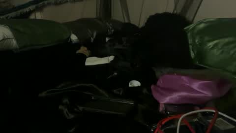 Snapshot of delightfuldark chatting on 10-03-25, 11:07 delightfuldark online show from 10-03-25, 11:07