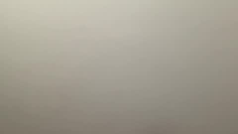 Delivery      online show from 01-04-25, 09:52