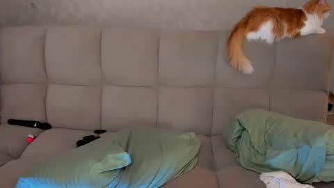 Snapshot of dementra chatting on 03-08-25, 02:55 Victoria and Nara twitterinstagram dementra rawrr online show from 03-08-25, 02:55