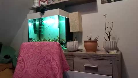 Denise and Brad online show from 02-03-26, 05:07