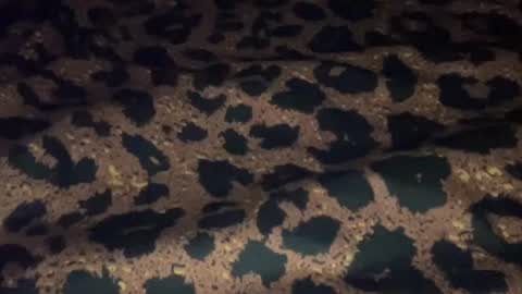 derek829099 online show from 09-11-25, 06:57