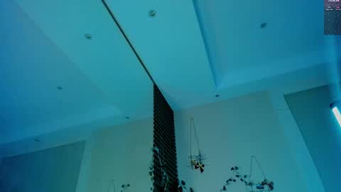 Snapshot of devil_fts chatting on 02-19-25, 03:39 Devil online show from 02-19-25, 03:39