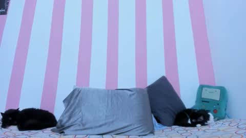 Snapshot of devilangel_29 chatting on 03-17-26, 02:16 Johana online show from 03-17-26, 02:16