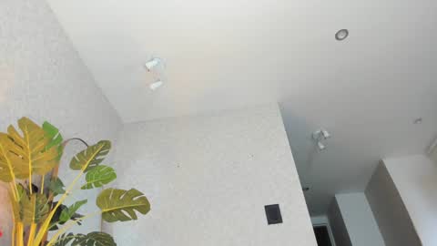 Snapshot of dianac1998 chatting on 01-05-26, 09:18 dianac1998 online show from 01-05-26, 09:18