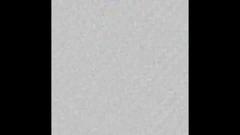 dice_steele online show from 03-08-26, 02:15