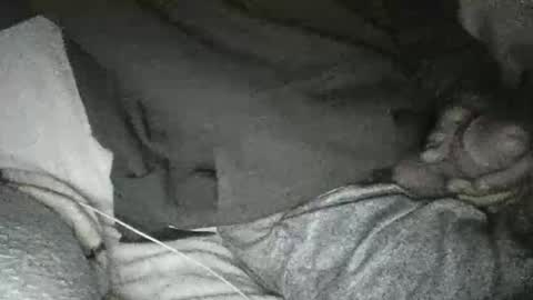 dick online show from 01-10-25, 11:33