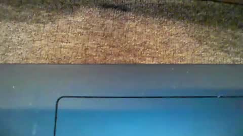 Snapshot of dicky_doo2 chatting on 01-05-25, 01:04 Bigmick online show from 01-05-25, 01:04