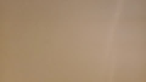 Diego online show from 02-16-25, 11:38