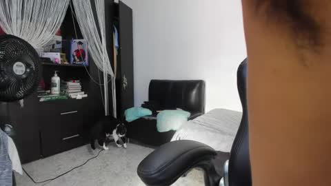 Snapshot of diiego_xxx chatting on 07-23-26, 04:38 diiego_xxx online show from 07-23-26, 04:38