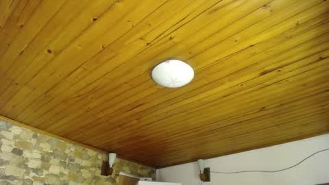 Velma Dinkley online show from 11-12-25, 09:47