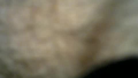 Bob online show from 07-26-26, 11:22