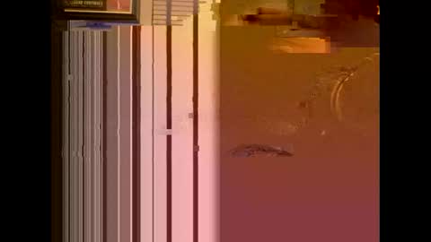 dildosnme22 online show from 01-13-25, 11:08